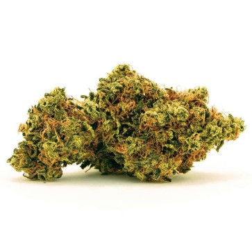 Насіння коноплі Auto Zkittlez Feminised Gold